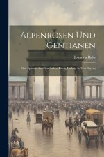 Alpenrosen Und Gentianen
