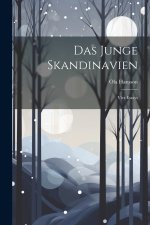 Das Junge Skandinavien