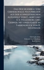 Das Hochgebirge von Grindelwald. Naturbilder aus der schweizerischen Alpenwelt von C. Aeby und E. v. Fellenberg und Gerwer. Mit einer Karte in Farbend