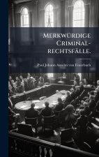 MerkwÃ¼rdige Criminal-rechtsfÃ¤lle.