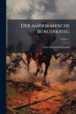 Der amerikanische BÃ¼rgerkrieg