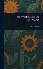 The Wonders of Salvage