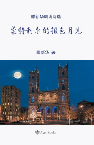 蒙特利尔的银色月光