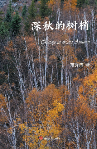深秋的树梢