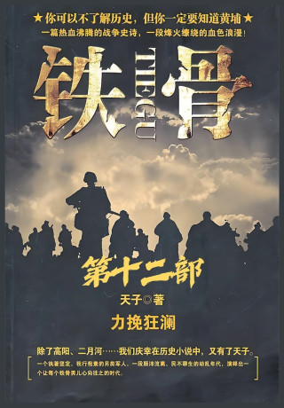 铁骨：第十二部