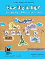PM3 L3-4 How Big is Big? SMJ