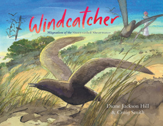 Windcatcher
