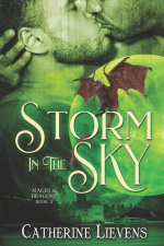 Storm In The Sky