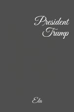 President Trump (first 100 days)