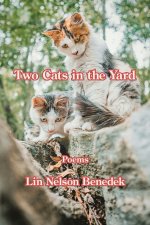 Two Cats in the Yard