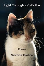 Light Through a Cat's Ear