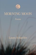 Morning Moon
