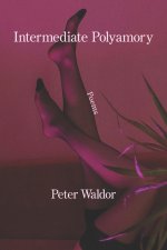 Intermediate Polyamory