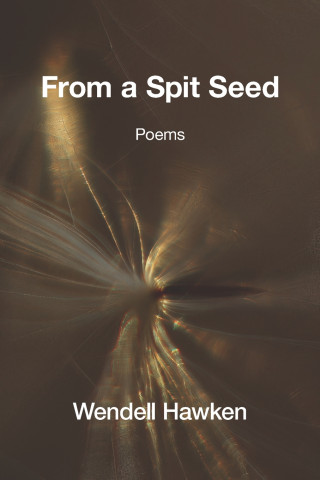 From a Spit Seed