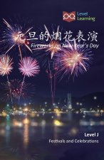 元旦的烟花表演