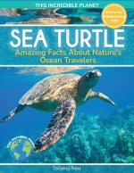 Sea Turtle
