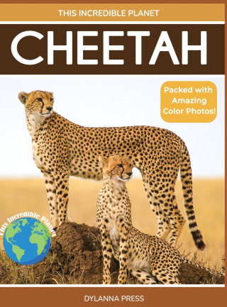 Cheetah