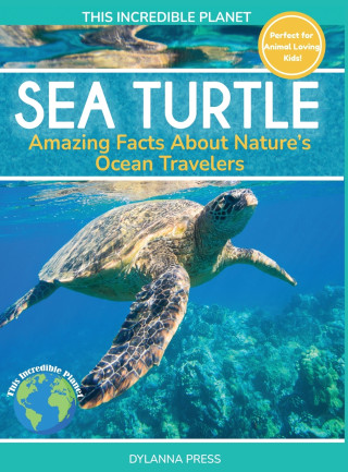 Sea Turtle