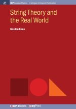 String Theory and the Real World