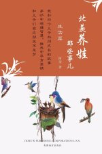 北美养娃那些事儿
