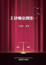 王律师案例集一