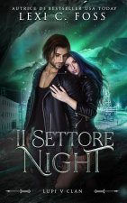 Il settore Night