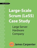 Large-Scale Scrum (LeSS) Case Study