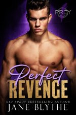 Perfect Revenge
