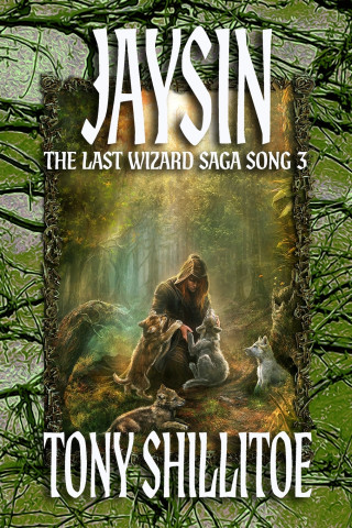 Jaysin