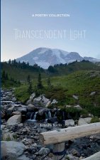 Transcendent Light a collection of feelings that transpired through healing