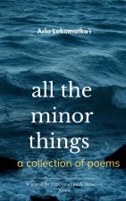 all the minor things a collection of poems