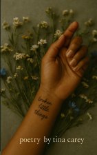 broken little things
