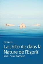 Observer La Détente dans la Nature de l'Esprit