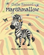 Marshmallow