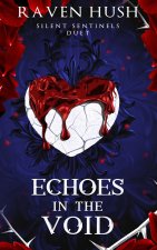 Echoes in the Void