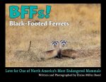 BFFs! Black-Footed Ferrets (Paperback)