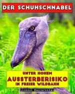 Der Schuhschnabel