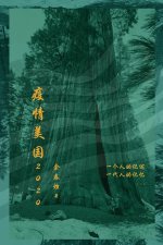 疫情美国2020