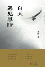 白天遇见黑暗