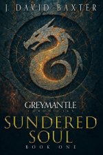 Sundered Soul