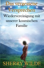 Das vergessene Versprechen