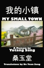 My Small Town
