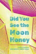 Did You See the Moon Honey