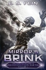 Mirror's Brink