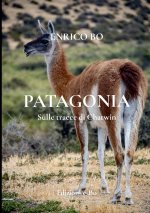 PATAGONIA - Sulle tracce di Chatwin