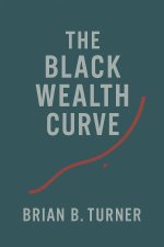 The Black Wealth Curve