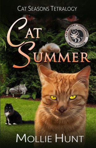 Cat Summer