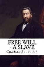 Free Will - A Slave