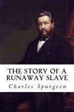 The Story of a Runaway Slave
