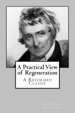 A Practical View of Regeneration
